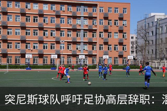 突尼斯球队呼吁足协高层辞职：混乱、治理不善、腐败、缺乏透明度