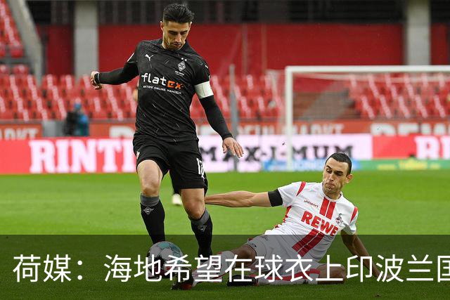 荷媒：海地希望在球衣上印波兰国旗彰显友谊，但被FIFA禁止